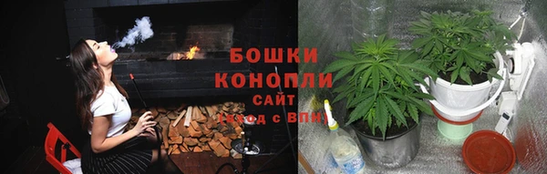 альфа пвп Горнозаводск