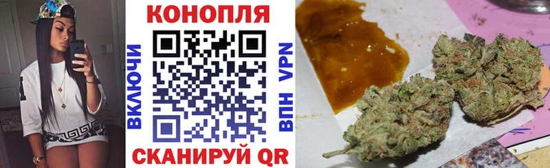 Канабис план  Купить закладки  Шимановск 